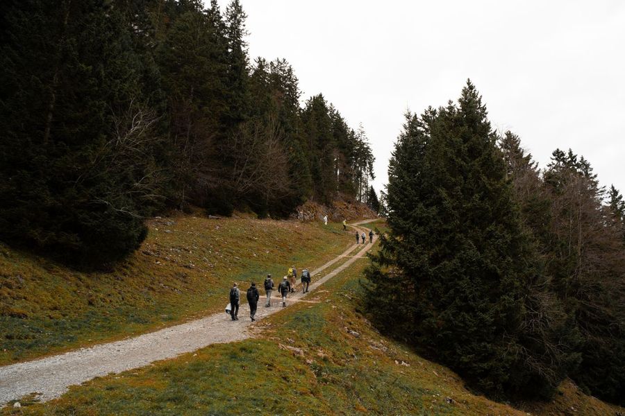 Wandergruppe auf einem Weg am Waldrand